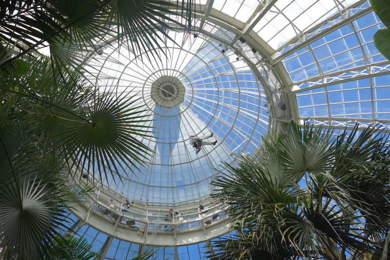 Workers used industrial rope to inspect the interior of the Conservatory's dome.