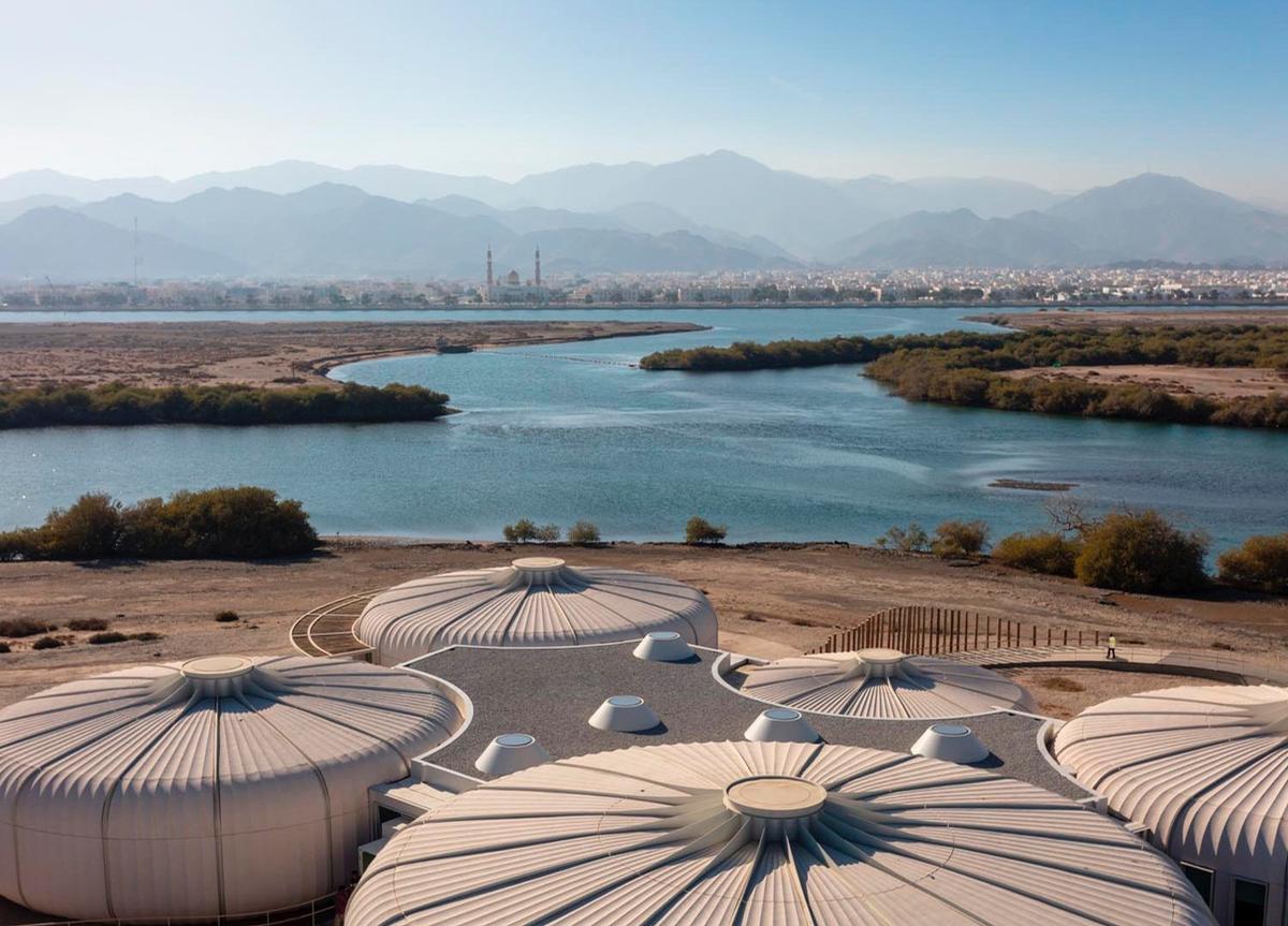 The Khor Kalba Turtle and Wildlife Sanctuary view towards the mangrove forests and mountains