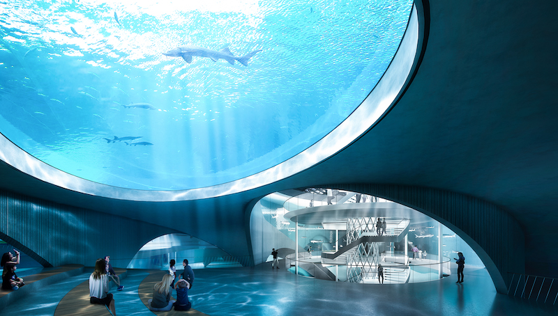 Interior aquarium space designed by Ennead Architects